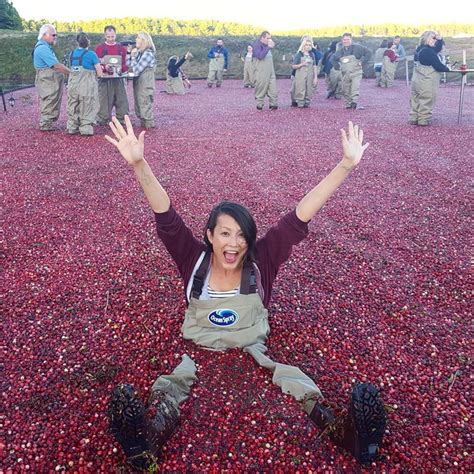 Tales From the Bog: Inside a New England Cranberry Harvest | Oyster.com