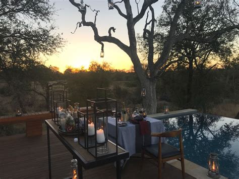 Rockfig Safari Lodge - Timbavati Private Reserve - Kruger Park