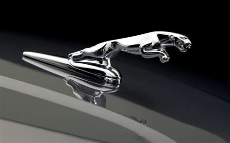 Jaguar Car Logo HD Wallpapers - Top Free Jaguar Car Logo HD Backgrounds ...