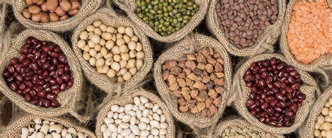 Legumes: Important Protein Source for Healthy and Sustainable Diets ...