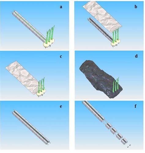 Schematic of rhizosphere sediment sampling processes | Download ...