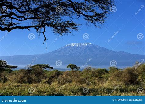 Snow on Top of Mount Kilimanjaro in Amboseli Stock Photo - Image of ...