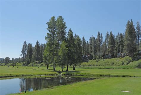 Graeagle golf clubs share latest results - Plumas News