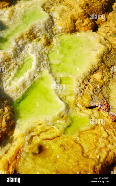 Salt Formations on Saltwater Lake, Dallol, Danakil Desert, Ethiopia ...