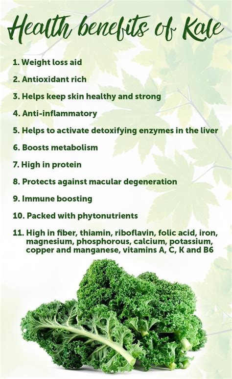 Discover the Health Benefits of Kale | Food health benefits, Kale ...