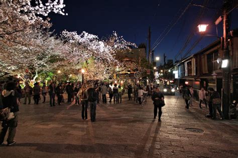 Kyoto cherry blossoms editorial photography. Image of blossoms - 213963802