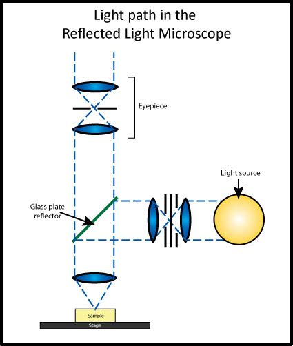 Microscope | Microscopy@Manchester