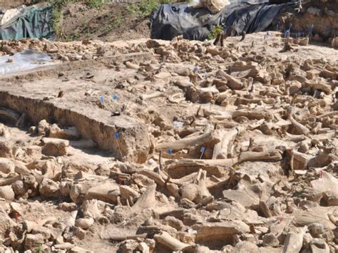 Huge 25,000-yr-old Hut Discovered Made Entirely from Mammoth Bones ...