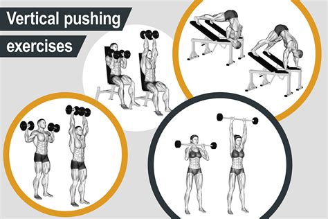 Vertical pushing exercises | Muscle Activation Guide