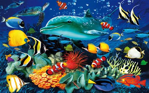 Ocean Underwater World Marine Life Dolphin Sea Turtle Colorful Tropical ...