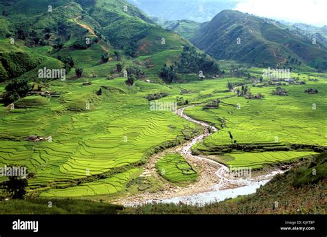 Rice fields in Sapa, Vietnam Stock Photo - Alamy