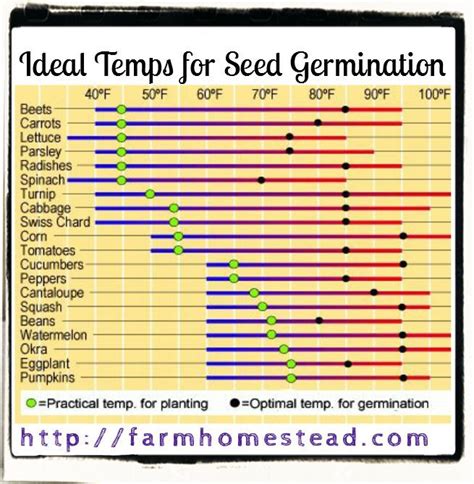 Grass Seed Germination Temperature Chart | Printable Templates Free