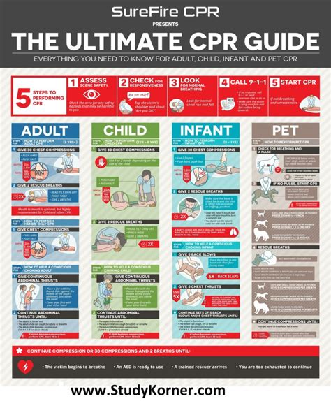 The Ultimate CPR Cheat Sheet/Guide For Adult Child Infant & Pet | CPR ...