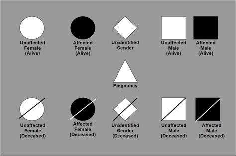 Pedigree Chart Guide: Definition, Symbols & Examples