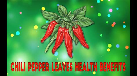 10 Chili Pepper Leaves Health Benefits - YouTube