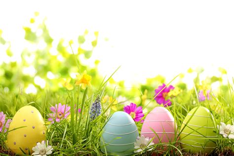 Easter Flowers Wallpaper - WallpaperSafari