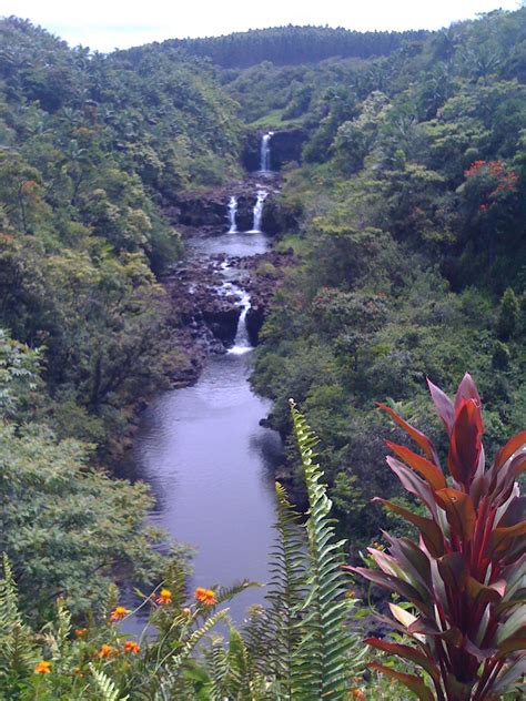 mauka along Hamakua Coast | Hawaii island, Hawaiian homes, Beautiful places