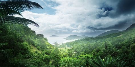 Amazon Rainforest HD Wallpapers - Wallpaper Cave