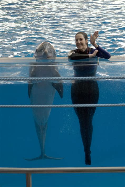 Dolphin and Trainer | Cute animals, Cute animal photos, Cute baby animals