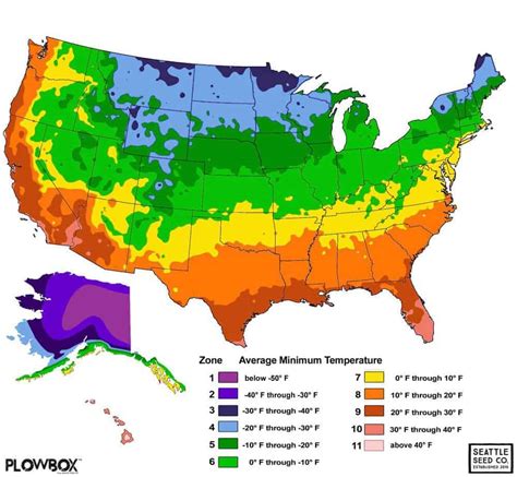 Us Growing Zones 2024 - Liv Michelina