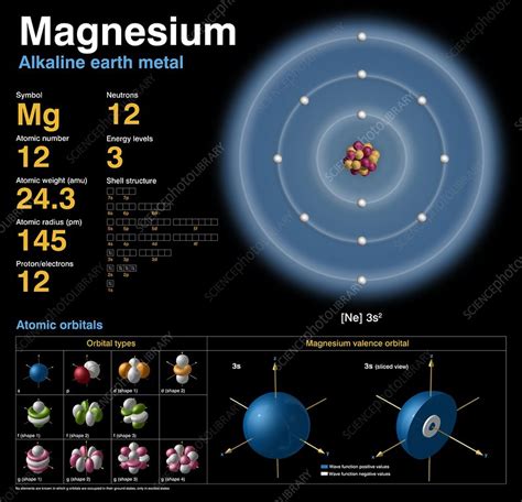 Magnesium, atomic structure - Stock Image C018/3693 - Science Photo Library