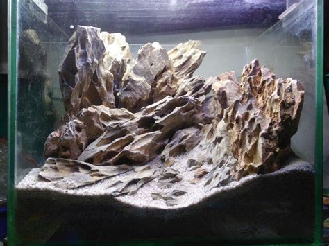 Green Dragon Rock Aquarium - Aquascape Ideas