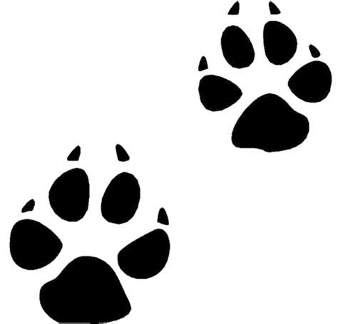 Animal Tracks Clip Art - ClipArt Best