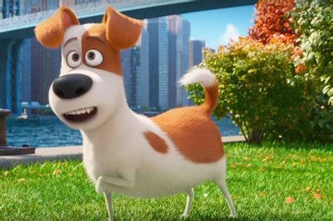 Bobby Rivers TV: On THE SECRET LIFE OF PETS