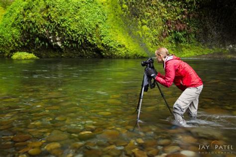 6 Nature Photography Tips for Beginners - The Frisky