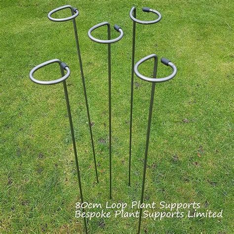 Metal Plant Supports Loop Stakes 5 pack 80cm, 100cm or 130cm tall (80cm ...