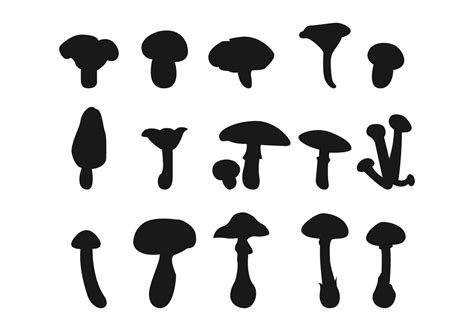 Mushrooms Vector 168623 Vector Art at Vecteezy