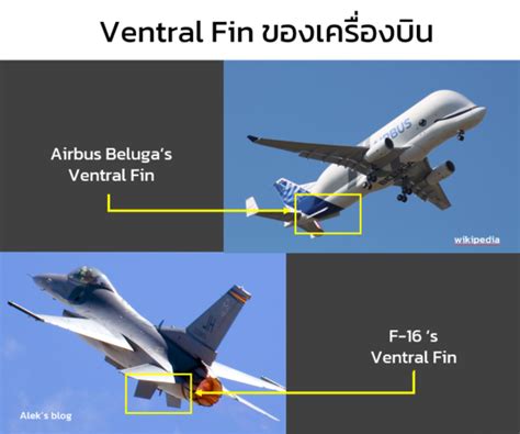 Dorsal Fin และ Ventral Fin คืออะไร - Aexotic Aerobotics