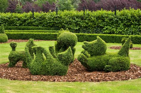 53 Stunning Topiary Trees, Gardens, Plants and Other Shapes