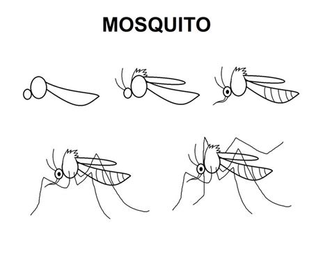 26+ realistic mosquito drawing - ColetteLavern