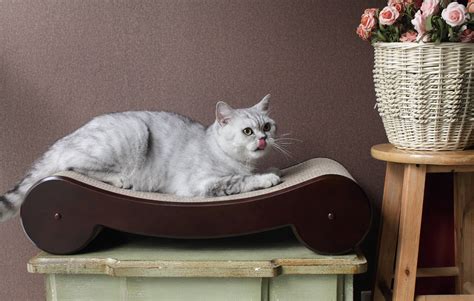 Cat Scratcher Bed - Walmart.com