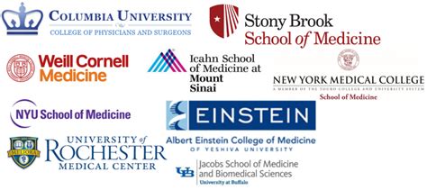 Best Medical Schools in New York – Top Schools in the USA