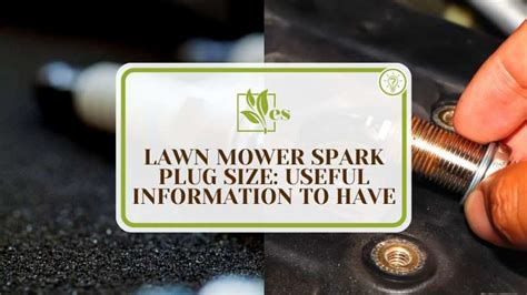 Lawn Mower Spark Plug Size: Useful Information To Have - Evergreen Seeds