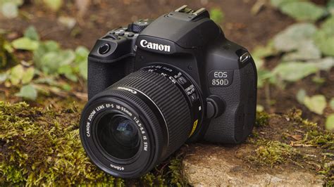 Best beginner DSLR cameras 2020: the 10 finest DSLRs for new ...