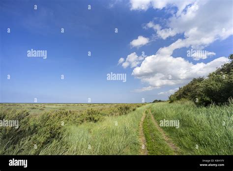 North Norfolk coast path, UK Stock Photo - Alamy