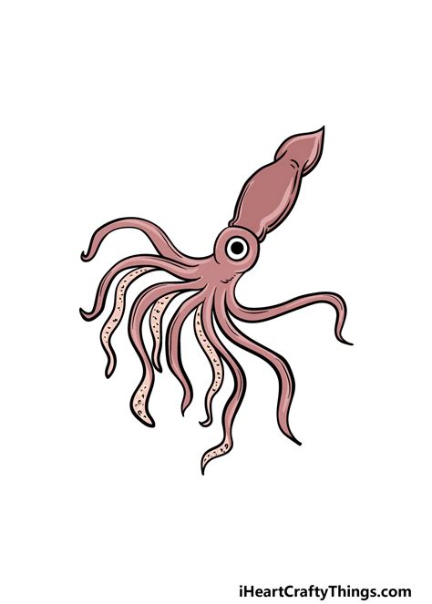 Easy Squid Drawing