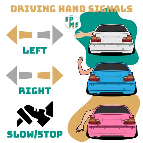 Ma hand signals driving - indeasseX