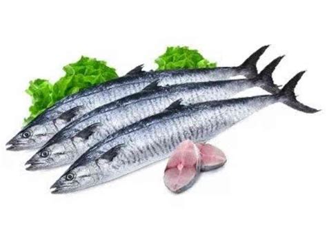 Seer Fish (1Kg) – bringmaalu.lk