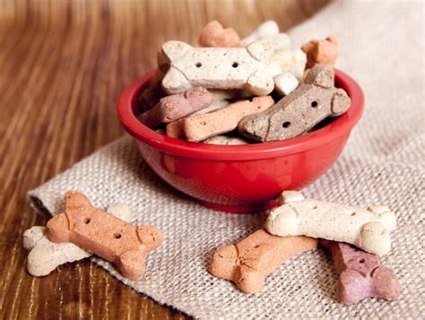 16 Healthy Dog Treat Recipes - PatchPuppy.com