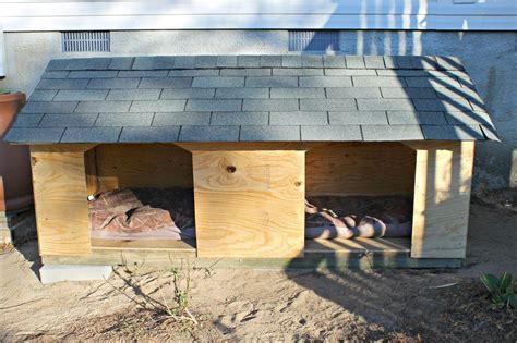 DIY Dog House Designs To Keep Your Dog Protected