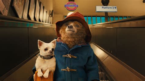 Paddington Bear Film 2024 - Cory Merrie