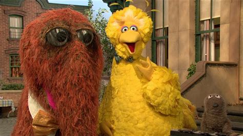 Big Bird and Snuffy Talent Show | Kanopy