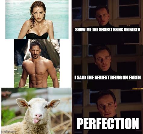 sheepmemes: memes of sheep