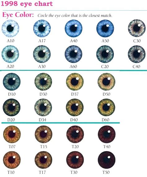 eye color probability chart 9gag curious if your baby will have blue ...