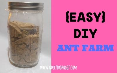 Easy DIY Ant Farm - Rule This Roost