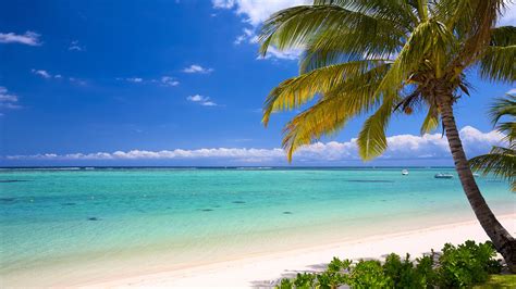 Mauritius, an island of adventure: Travel Weekly